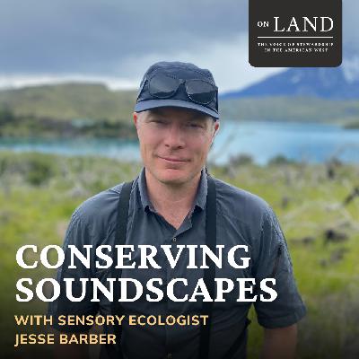 Conserving Soundscapes with Sensory Ecologist Jesse Barber