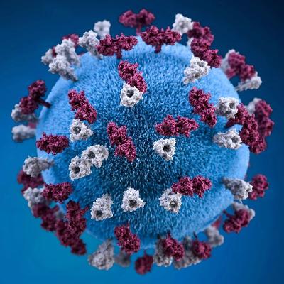 Alberta's measles catastrophe