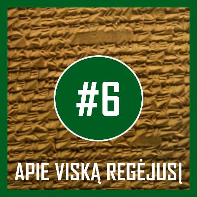 AUDIOKNYGOS | „Apie viską regėjusį“ #6 skaito Ieva Brikė