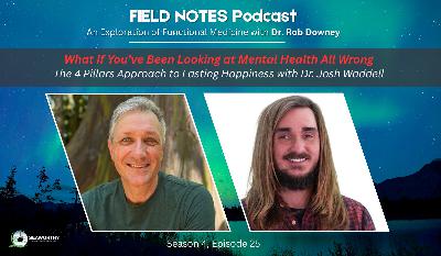 What If You've Been Looking at Mental Health All Wrong? The 4 Pillars Approach to Lasting Happiness