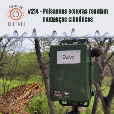 #214 – Paisagens sonoras revelam mudanças climáticas