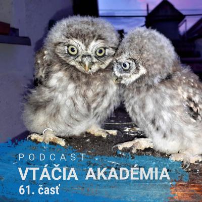 Na deň vtákov sa dajú nachytať aj odborníci na vtáky. Na deň vtákov sa dajú nachytať aj odborníci na vtáky.