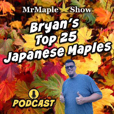 Bryan's Top 25 Japanese Maples | MrMaple Show Podcast