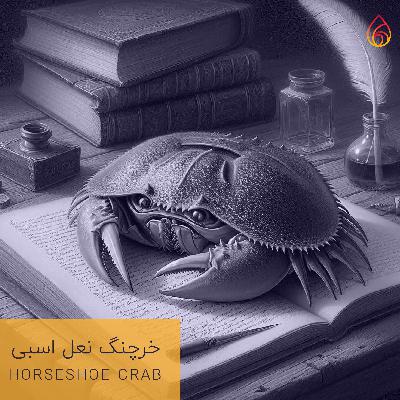 Horseshoe crab