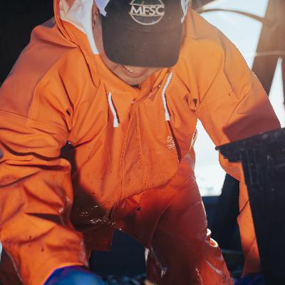 A haddock disaster with Dr. Jamie Cournane