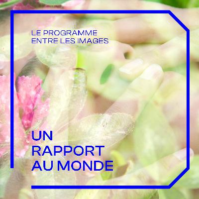 UN RAPPORT AU MONDE