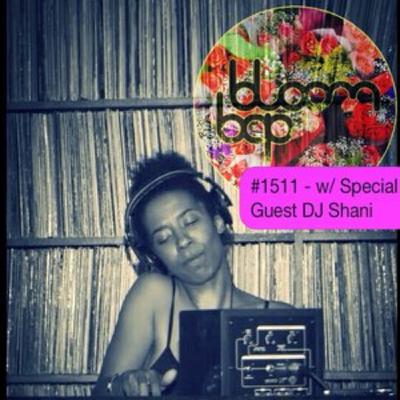 A Lesson In Serendipity with DJ Shani