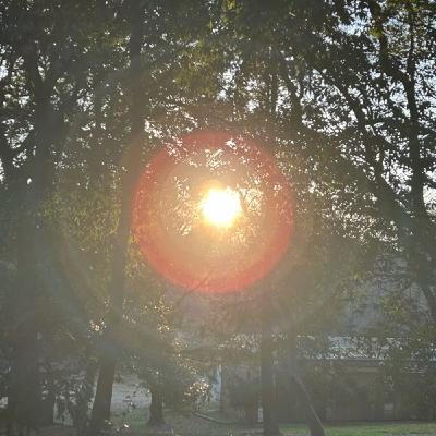 公園の朝散歩より682自然音 公園の朝散歩より682自然音