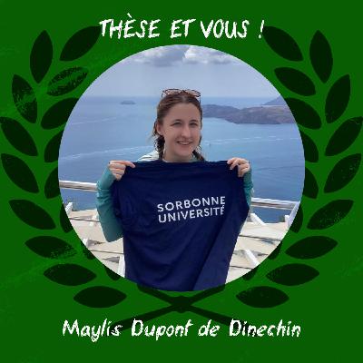TEV61 - GÉOLOGIE : Comment tracer la remontée du magma ?