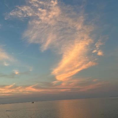 S1 EP45 海外育儿兴趣培养，何时放弃，何时坚持