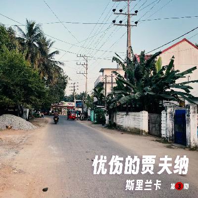 245 |斯里兰卡| 忧伤的贾夫纳 - 神庙、语言、人体炸弹和一块蓝色蛋糕