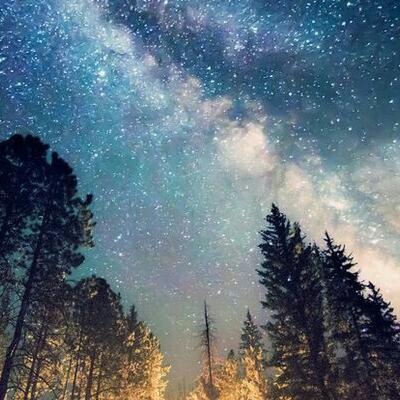 Lei da Atração - mude seus pensamentos e use a seu favor