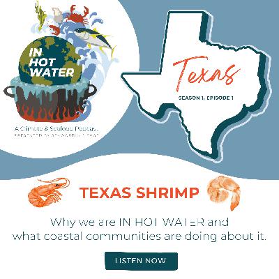 In Hot Water: Texas Shrimp
