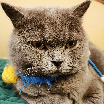 长沙夜话之往事系列:你这一世最努力(发狠)的时候【长沙话】 长沙夜话之往事系列:你这一世最努力(发狠)的时候【长沙话】