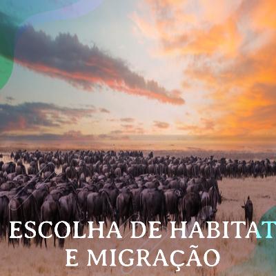Escolha de Habitat e Migração - Com Mariana Carvalho Escolha de Habitat e Migração - Com Mariana Carvalho