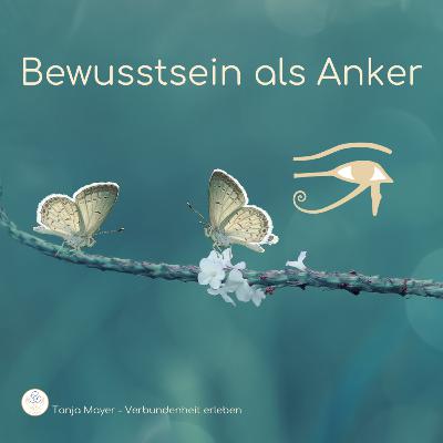 Bewusstsein als Anker