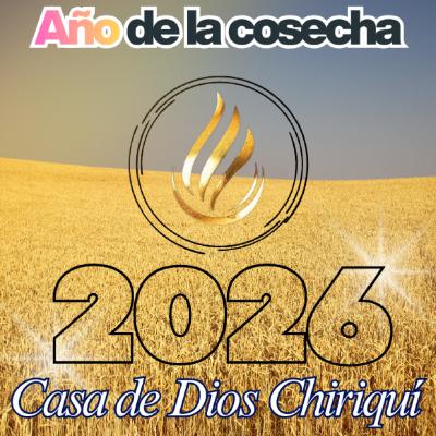 El arte de la paciencia
