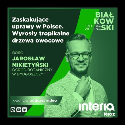 Egzotyczne owoce i palmy w Polsce