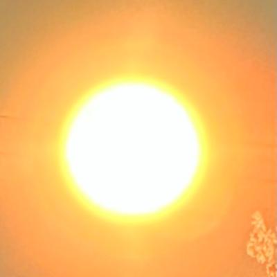 Red Words Win Red Words Win