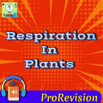 Respiration In Plants