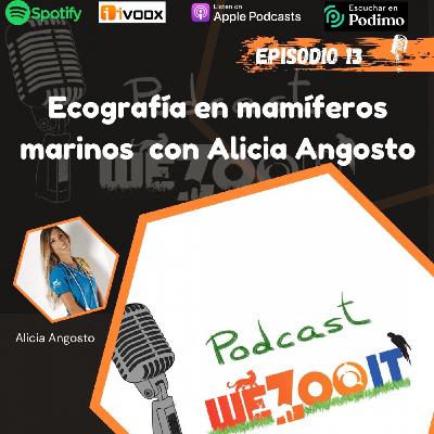 #13 Ecografía en mamíferos marinos con Alicia Angosto
