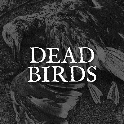 Dead Birds Dead Birds