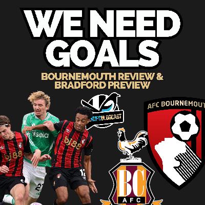 The good, bad and ugly from Bournemouth + Newcastle vs Bradford preview