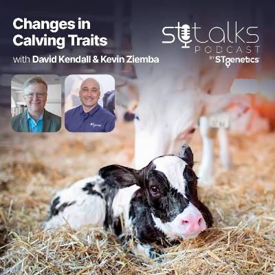 STtalks #316 - Changes in Calving Traits with David Kendall & Kevin Ziemba