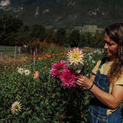 S04E12 - Acheter des fleurs sans impacts ?