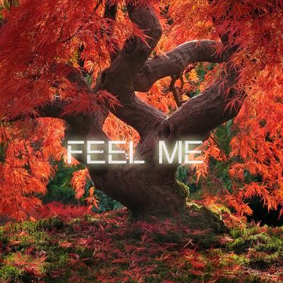 MISS MANTS - Feel Me (Remastered)