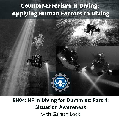 SH04: HF for Dummies. Part 4. Situation Awareness.