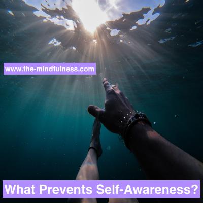 What prevents Self-Awareness
