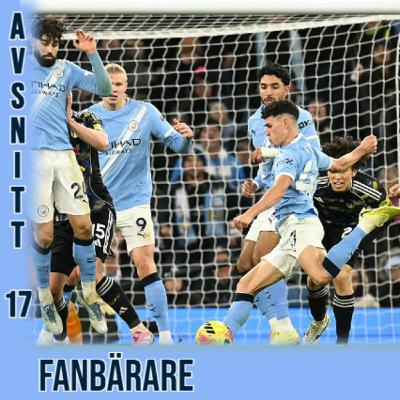 #17- Fanbärare