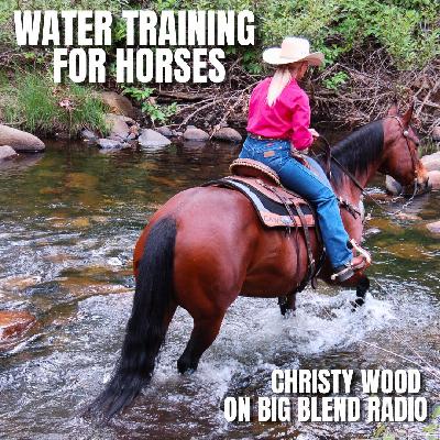 Water Training for Horses: Safety and Trail Riding Skills