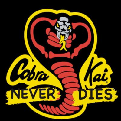 COBRA KAI | The Karate Kid Sequel Series on Netflix