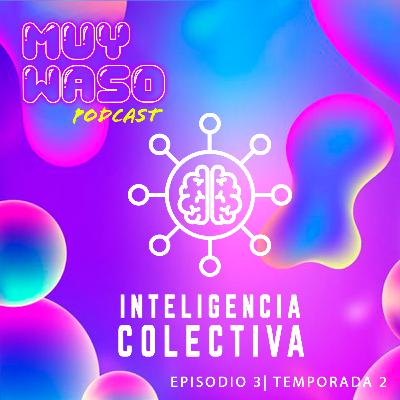 Transmisión 3: Inteligencia colectiva