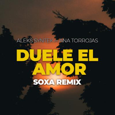 Aleks Syntek & Ana Torroja - Duele El Amor (SOXA Remix) Aleks Syntek & Ana Torroja - Duele El Amor (SOXA Remix)