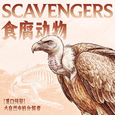 【重口预警】大自然中的分解者—螳螂老师介绍“可怕”的食腐动物