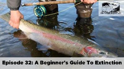 Episode 32: A Beginner’s Guide to Extinction - A Look at BC’s Steelhead Crisis