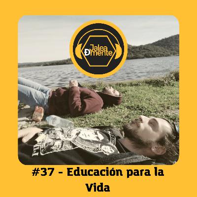 Jalea Demente #37 - Educación para la vida: Dando forma al plan de estudios de la escuela de la calle