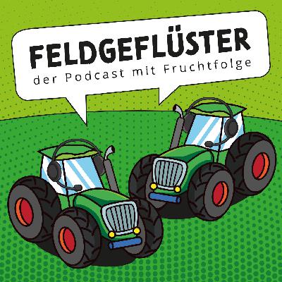 #59 - Gips im Januar