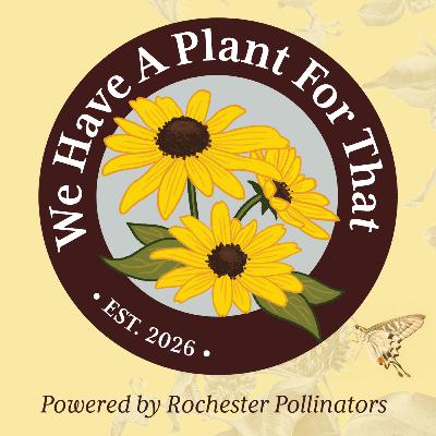 Why Native Plants Matter | Introducing We Have A Plant For That Why Native Plants Matter | Introducing We Have A Plant For That