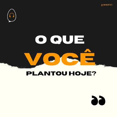 #40 - O que você plantou hoje?