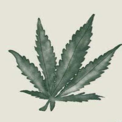 Dansk cannabispolitik er - modsat i nabolande - blevet mere restriktiv gennem 60 år Dansk cannabispolitik er - modsat i nabolande - blevet mere restriktiv gennem 60 år