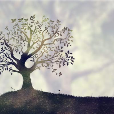 Episode 138: 119. Genesis, Creation Part 2, The Fall Episode 138: 119. Genesis, Creation Part 2, The Fall