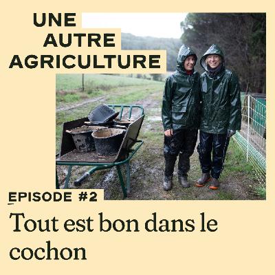 Une Autre Agriculture 2/10 - Tout est bon dans le cochon
