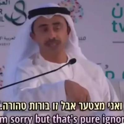UAE’s campaign against Islamists fuels moves to ban the Muslim Brotherhood and anti-Muslim sentiment