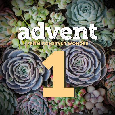 A Fresh Way to Celebrate Advent - December 1