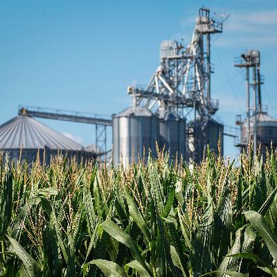 Post-Harvest Grain & Transportation Monitoring with TeleSense