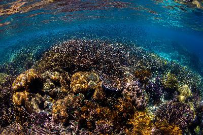 【前方视野】不属于任何国家的公海,终于迎来了守护者 【前方视野】不属于任何国家的公海,终于迎来了守护者